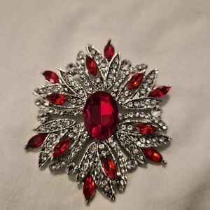 Elegant Silver and Red Gemstone Brooch